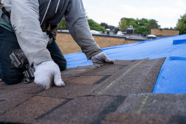 Best Roof Insulation Installation  in Calvert City, KY